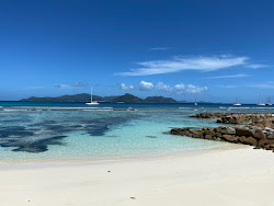 Anse Reunion Beach'in fotoğrafı çok temiz temizlik seviyesi ile