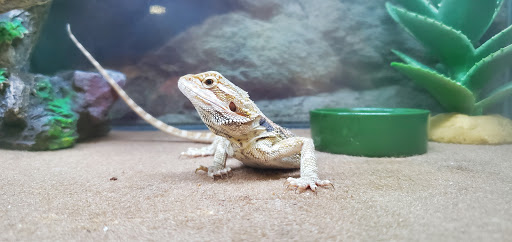 Pet Supply Store «Petco Animal Supplies», reviews and photos, 450 N Rte 17, Paramus, NJ 07652, USA