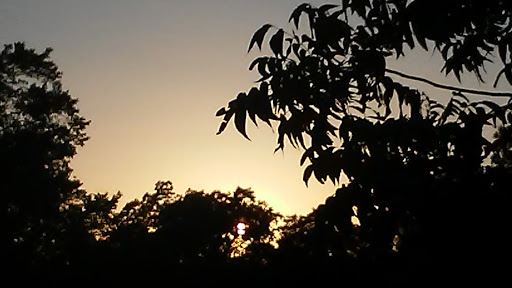 Golf Course «Page Belcher Golf Course», reviews and photos, 6666 S Union Ave, Tulsa, OK 74132, USA