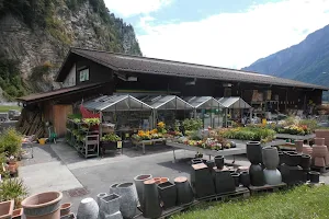 LANDI Brienz image