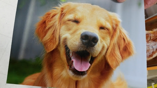 Pet Supply Store «PetSmart», reviews and photos, 934 W Street Rd, Warminster, PA 18974, USA