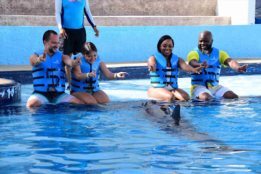 Tour Agency «Miami Swim With Dolphin Tours», reviews and photos, 247 SW 8th St, Miami, FL 33130, USA