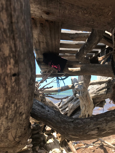 Video Store «Tender Moments LLC», reviews and photos, 1242 SW Pine Island Rd, Cape Coral, FL 33991, USA