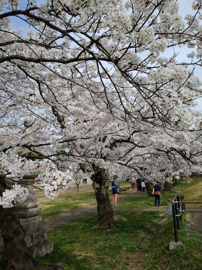 悠久山公園 第５駐車場