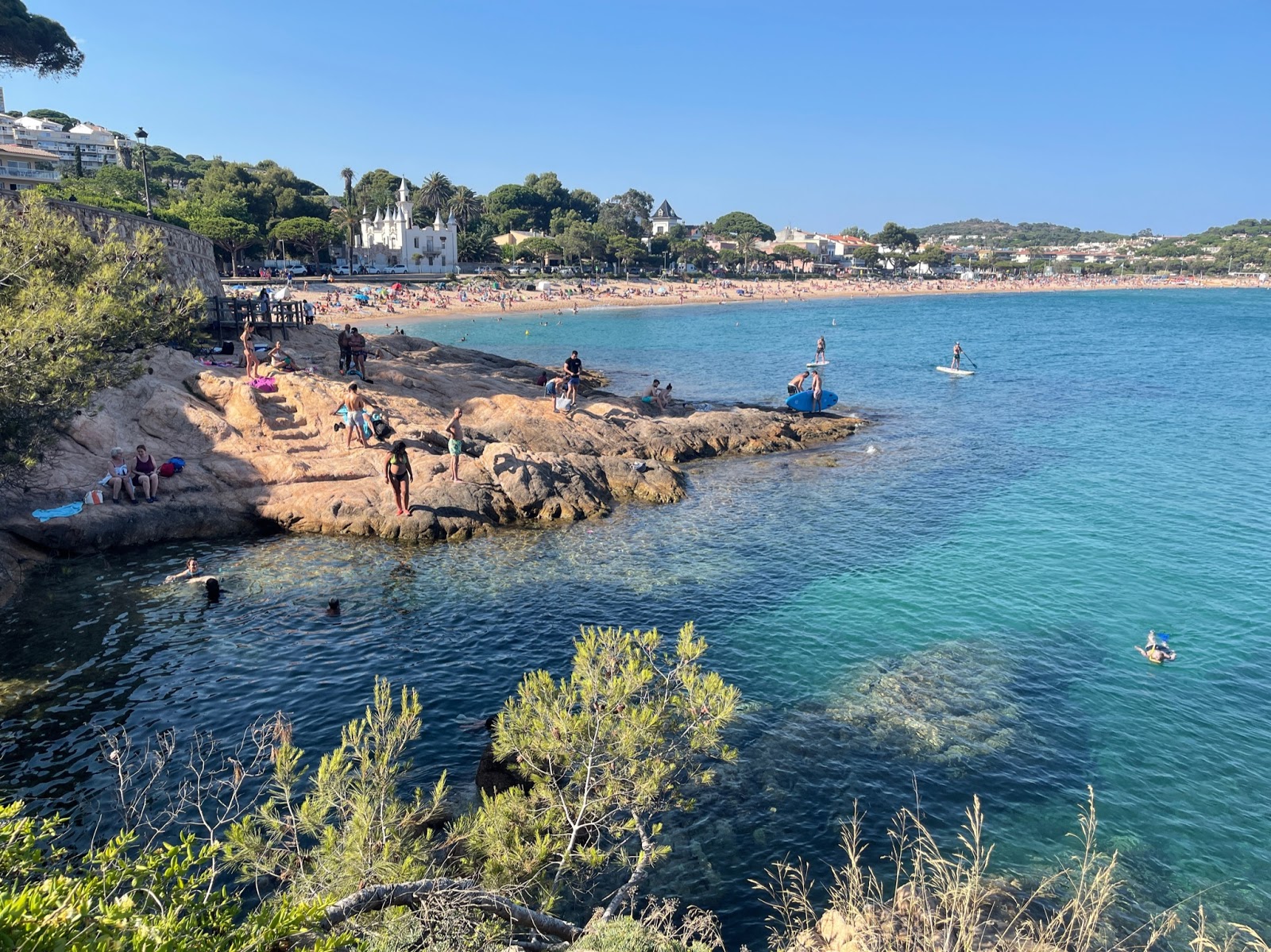 Photo de Platja de Sa Caleta avec un niveau de propreté de très propre
