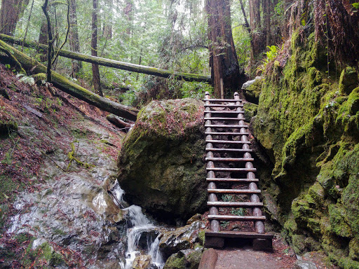 Steep Ravine Trail