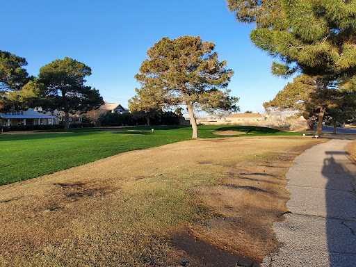 Golf instructor El Paso