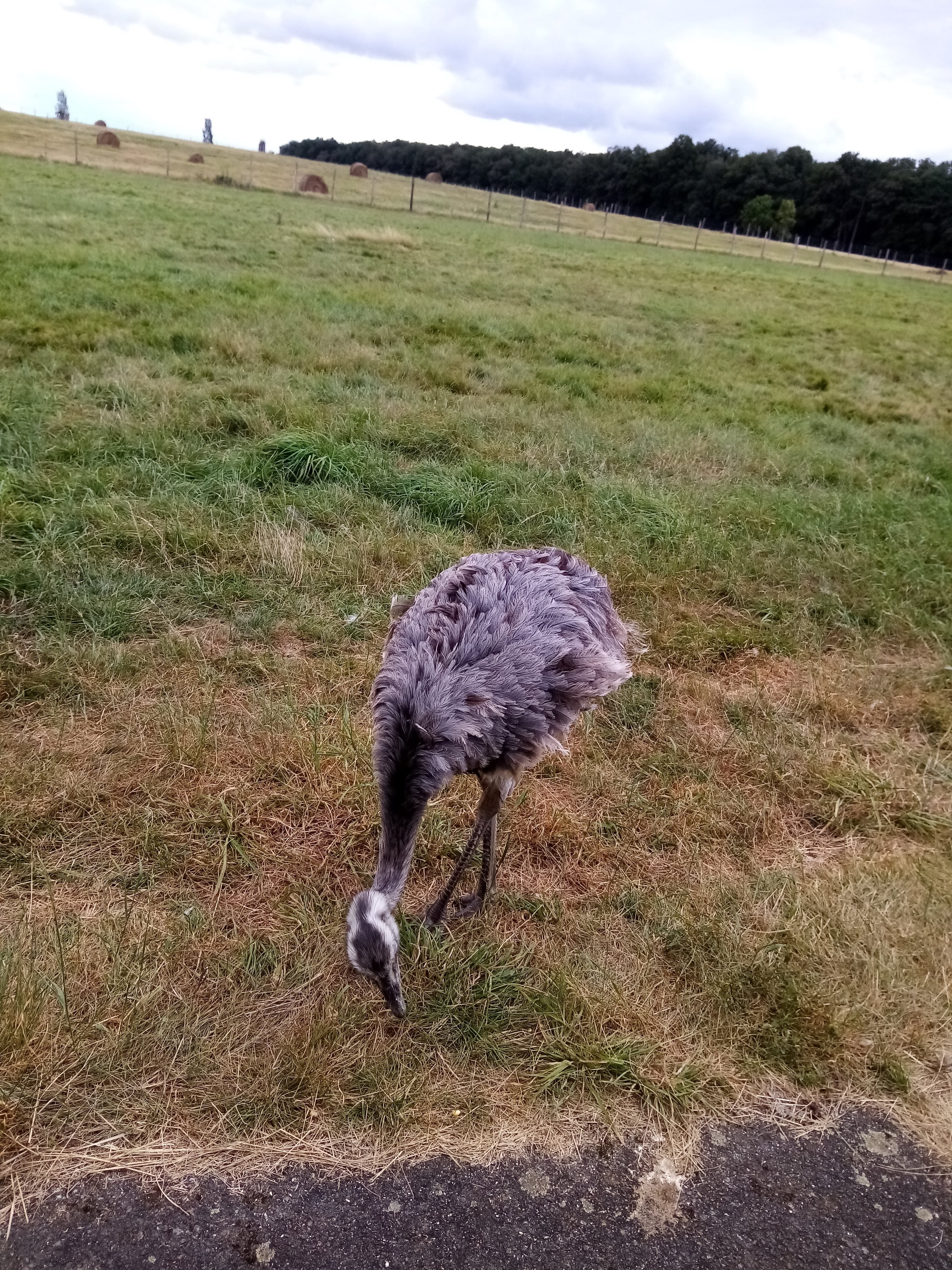 Photo n° 35 de l'avis de Aurelie.u fait le 17/08/2021 à 19:49