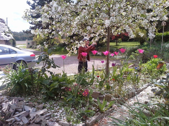 Photos des visiteurs Chambre d'hôtes La Licorne 35150 Piré-Chancé