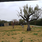 Photo n°1 de l'avis de Marzena.o fait le 13/02/2018 à 13:39 sur le  Senapark à Cropani Marina