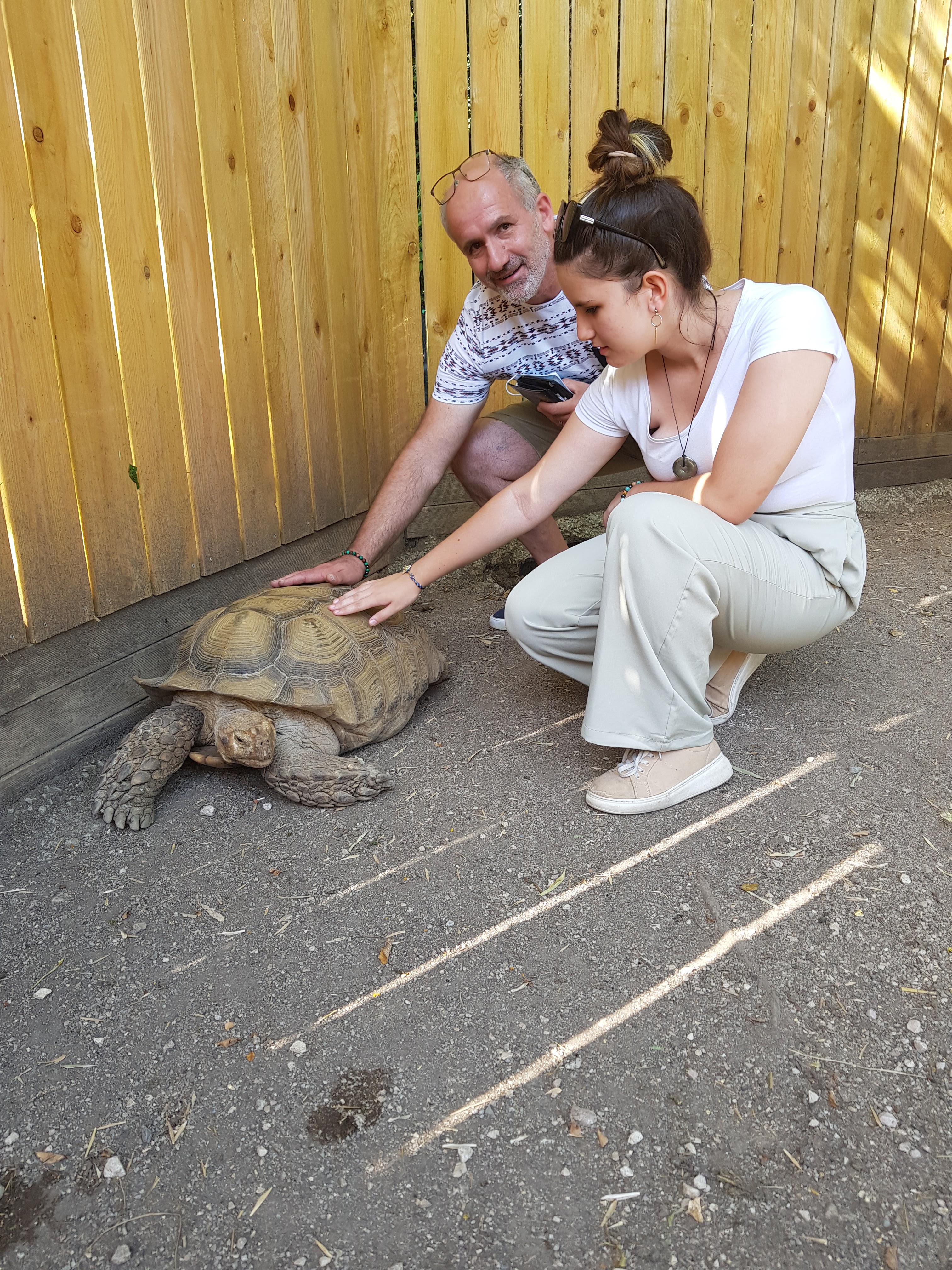Photo n° 3 de l'avis de Régis.e fait le 14/08/2021 à 16:24