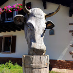 Photo n°15 de l'avis de Sara.r fait le 17/08/2023 à 16:53 sur le  Malga Brigolina à Trento