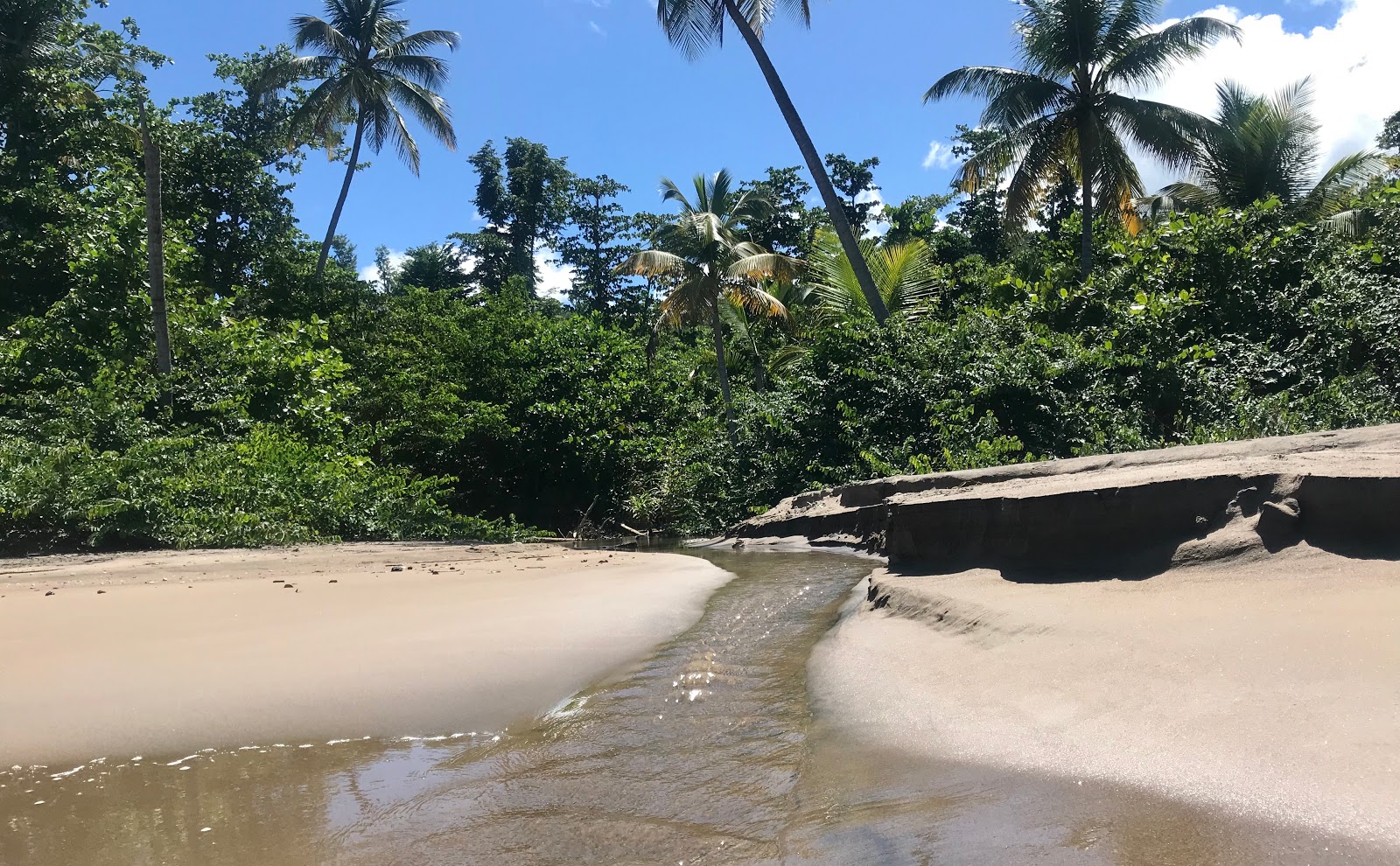 Foto de Coconut Beach e o assentamento