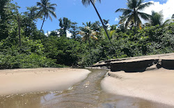 Foto av Coconut Beach - populär plats bland avkopplingskännare