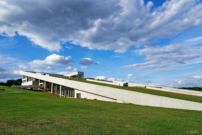 Anmeldelser af Moesgaard Museum i Vejle - Museum