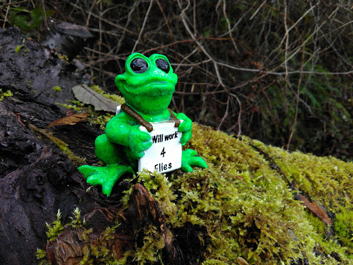 Golf Course «Wayne Public Golf Course», reviews and photos, 16721 96th Ave NE, Bothell, WA 98011, USA