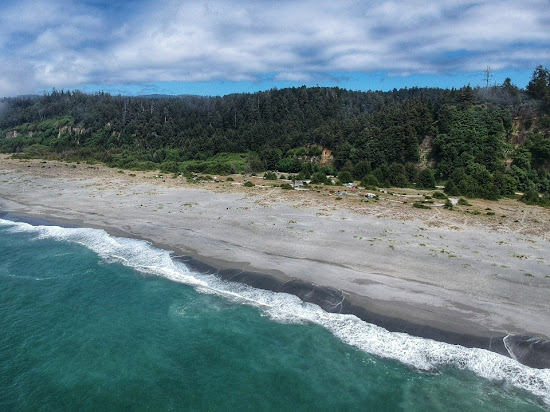 Gold Bluffs Beach
