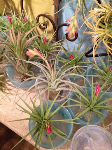 Clothing Store «Verde», reviews and photos, 3 N Front St, New Paltz, NY 12561, USA