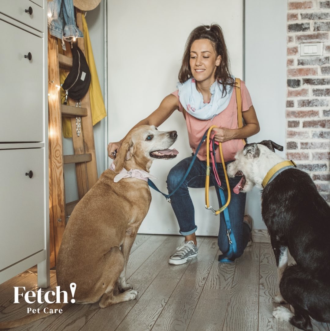 Fetch! Pet Care West Orlando