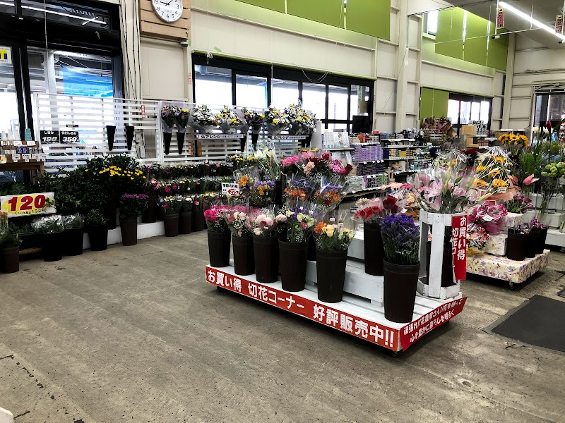 Jozpictsi4tsi 無料ダウンロード ジョイフル本田 切り花 値段 ジョイフル本田 切り花 値段