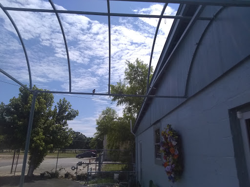 Florist «The Flower Shop», reviews and photos, 437 S Main St, Boerne, TX 78006, USA