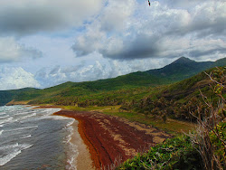 Grand Anse beach'in fotoğrafı doğal alan içinde bulunmaktadır