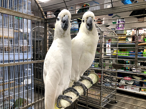 Pet Supply Store «Neighborhood Pet Shop», reviews and photos, 574 Hialeah Dr, Hialeah, FL 33010, USA