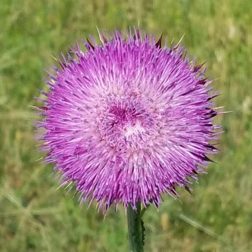 Nature Preserve «Joshua Springs Park and Preserve», reviews and photos, 716 Farm to Market 289, Comfort, TX 78013, USA