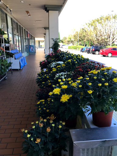 Florist «Absolutely Flowers & Balloons», reviews and photos, 10900 Westminster Ave # 4, Garden Grove, CA 92843, USA