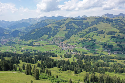 Schönried (Gstaad)