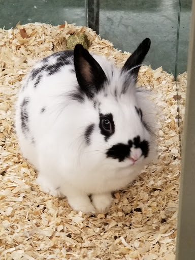 Pet Supply Store «Saluda River Pet Food Center», reviews and photos, 5606 Calhoun Memorial Hwy, Easley, SC 29640, USA