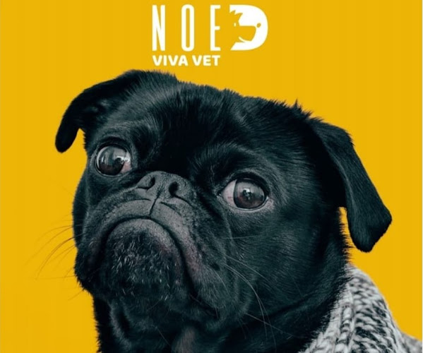 NOE VIVA VET - Cabinet veterinar