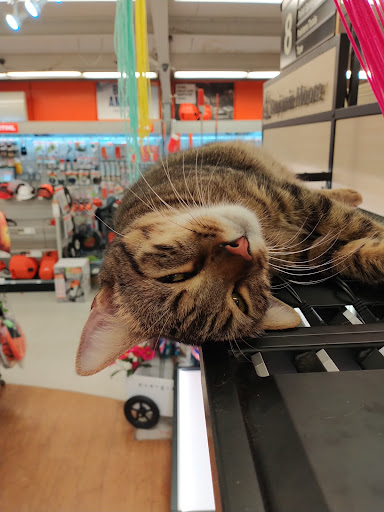 Hardware Store «Ace Hardware/Lumber of Pilot Point», reviews and photos, 316 US-377, Pilot Point, TX 76258, USA