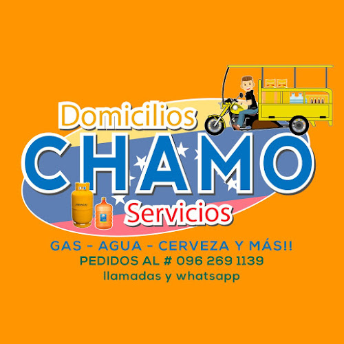 Opiniones de Domicilios chamo servicios en Guayaquil - Servicio de mensajería