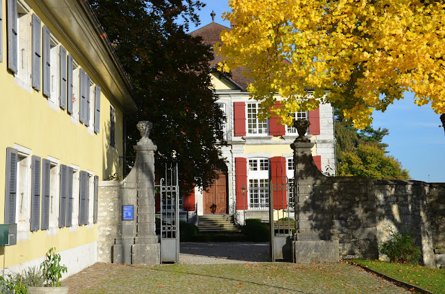 Museum Blumenstein