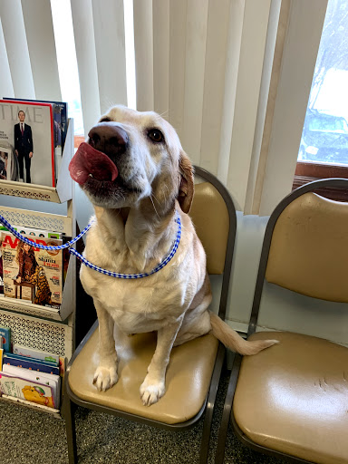 Chatham Veterinary Clinic image