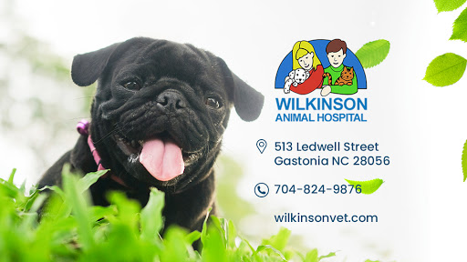 Wilkinson Animal Hospital