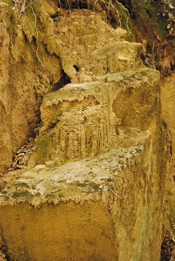 Uvas Canyon County Park image