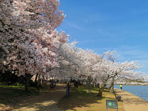 Memorial Park «Franklin Delano Roosevelt Memorial», reviews and photos, 1850 West Basin Dr SW, Washington, DC 20242, USA