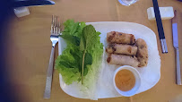 Rouleau de printemps du Restaurant asiatique Les Terrasses d'Asie à Pfastatt - n°6