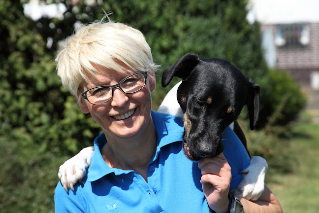 Rezensionen über Hundetraining-Mobil in Hamburg - Hundeschule