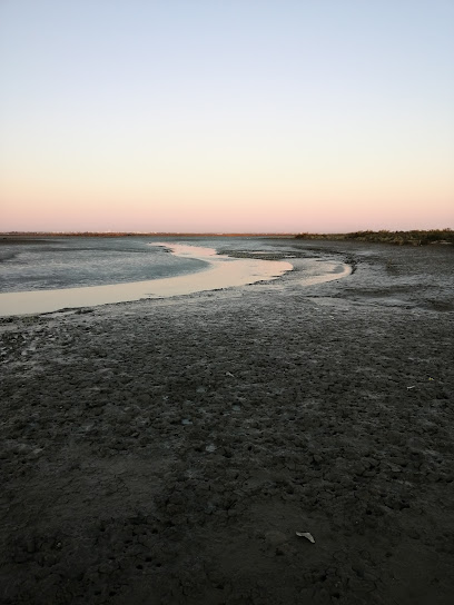 Estuario de la Bahía Blanca