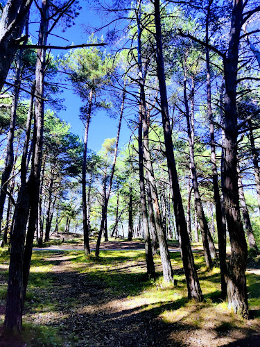 Pfyn-Finges Natural Regional Park - Siders