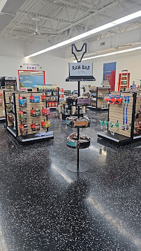 Pawllywood Kingdom - Photo 7 - Car repair in Cypress, TX, The Woodlands