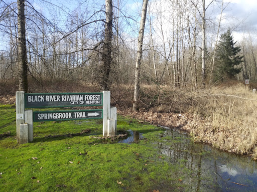 Nature Preserve «Black River Riparian Forest and Wetland», reviews and photos, Oakesdale Ave SW, Renton, WA 98057, USA