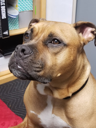 Boxing Gym «TITLE Boxing Club Coon Rapids», reviews and photos, 12475 Riverdale Blvd, Coon Rapids, MN 55433, USA