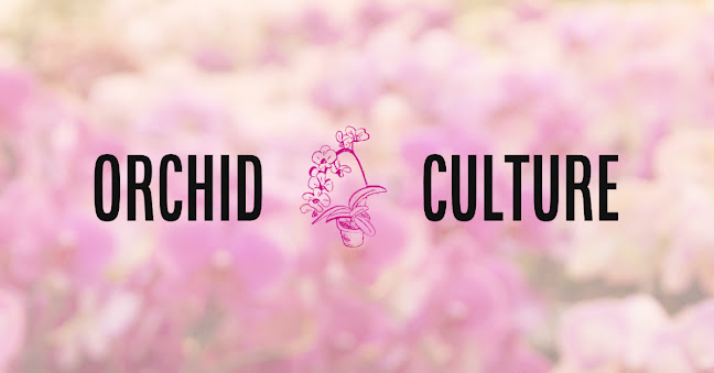 Értékelések erről a helyről: Orchid Culture Budapest, Budapest - Virágárus