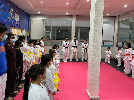 Instituto Supremo de Taekwondo Valientes