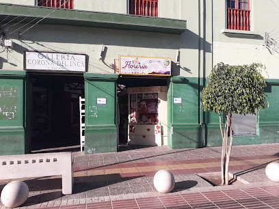 Galeria Paseo del Inca