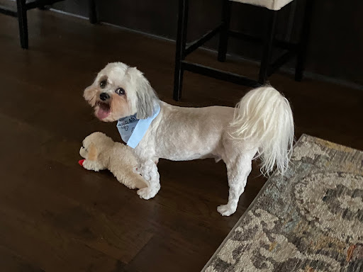 McMillan Veterinary Clinic image